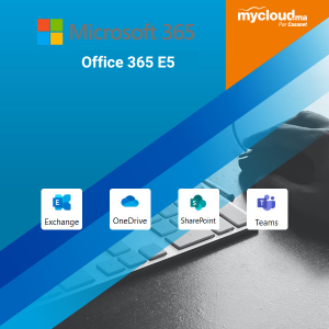 Office 365 E1 PLUS (Avec Teams)